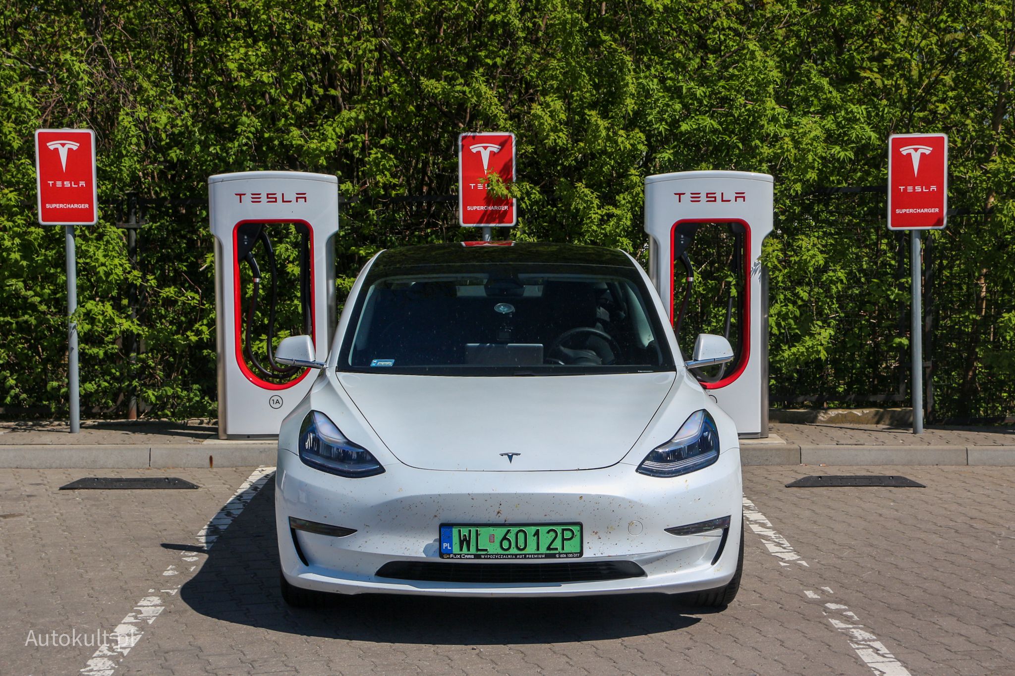 Wiele stanowisk, mocne ładowarki - Tesla wie, co robi