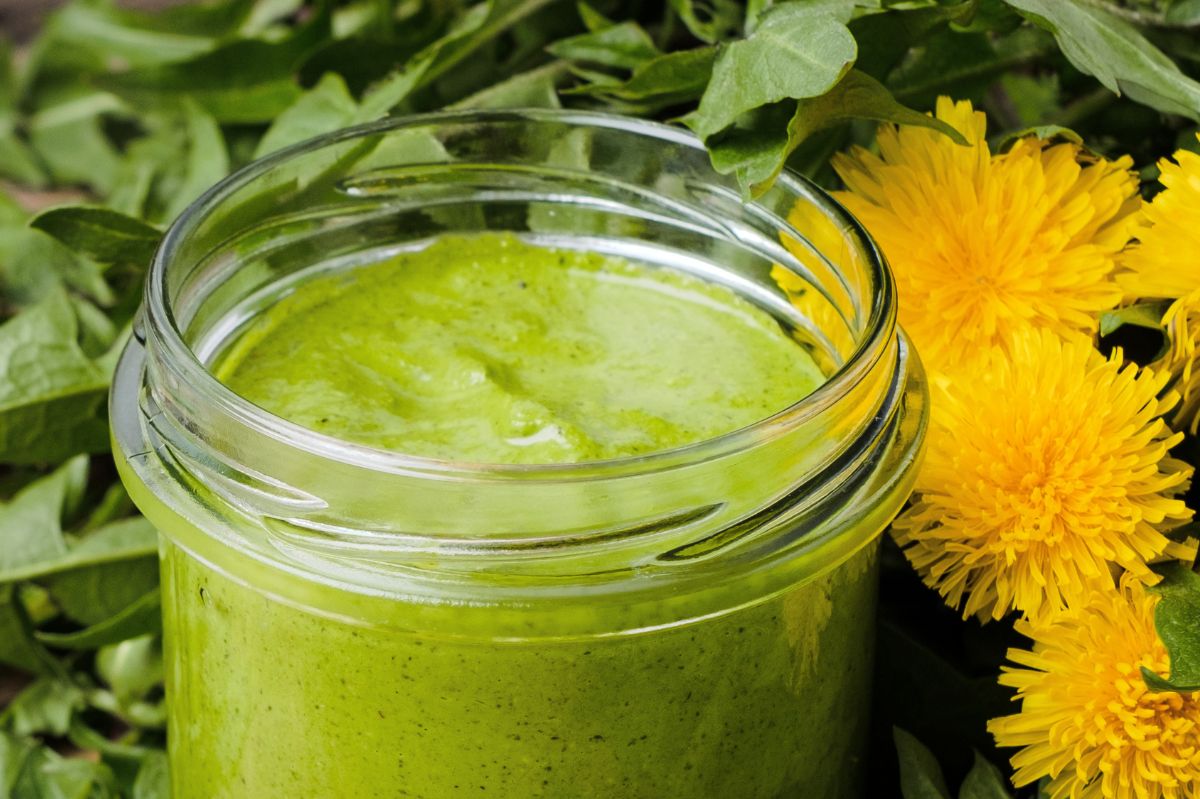 Löwenzahn: Das unterschätzte Superfood für Küche und Gesundheit