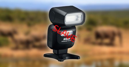 Master i Slave: Nikon odszedł od tych słów już 20 lat temu