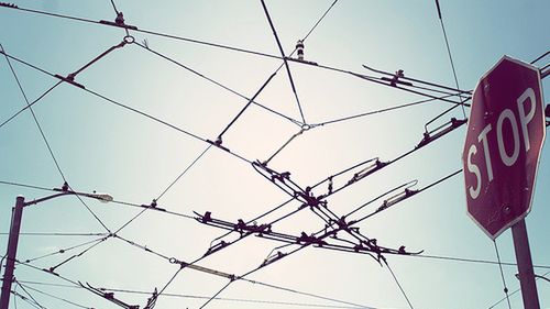 Jak schować kable za telewizorem? 1