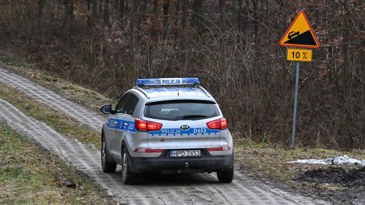 policja
Darek Delmanowicz
lataj�cy, lubelskie, obiekt, poszukiwania, powietrzny, przestrze� powietrzna, rakieta, policja, policjant, samoch�d, w�z policyjny