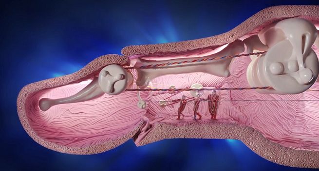PKO BP reklamuje aplikację mobilną „w jednym palcu” i kredyt hipoteczny „z otwartymi ramionami” (wideo)