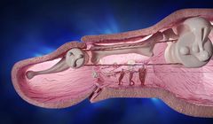 PKO BP reklamuje aplikację mobilną „w jednym palcu” i kredyt hipoteczny „z otwartymi ramionami” (wideo)