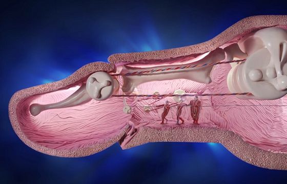 PKO BP reklamuje aplikację mobilną „w jednym palcu” i kredyt hipoteczny „z otwartymi ramionami” (wideo)