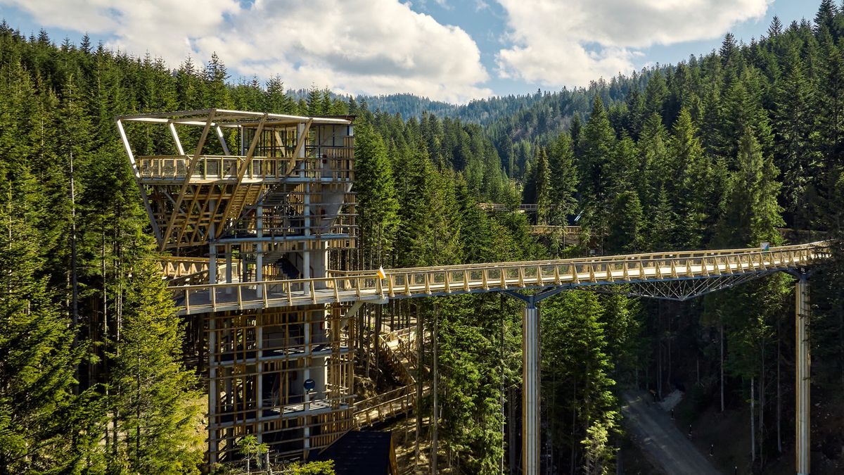 Brama w Gorce oferuje najdłuższą ścieżkę w koronach drzew w Polsce