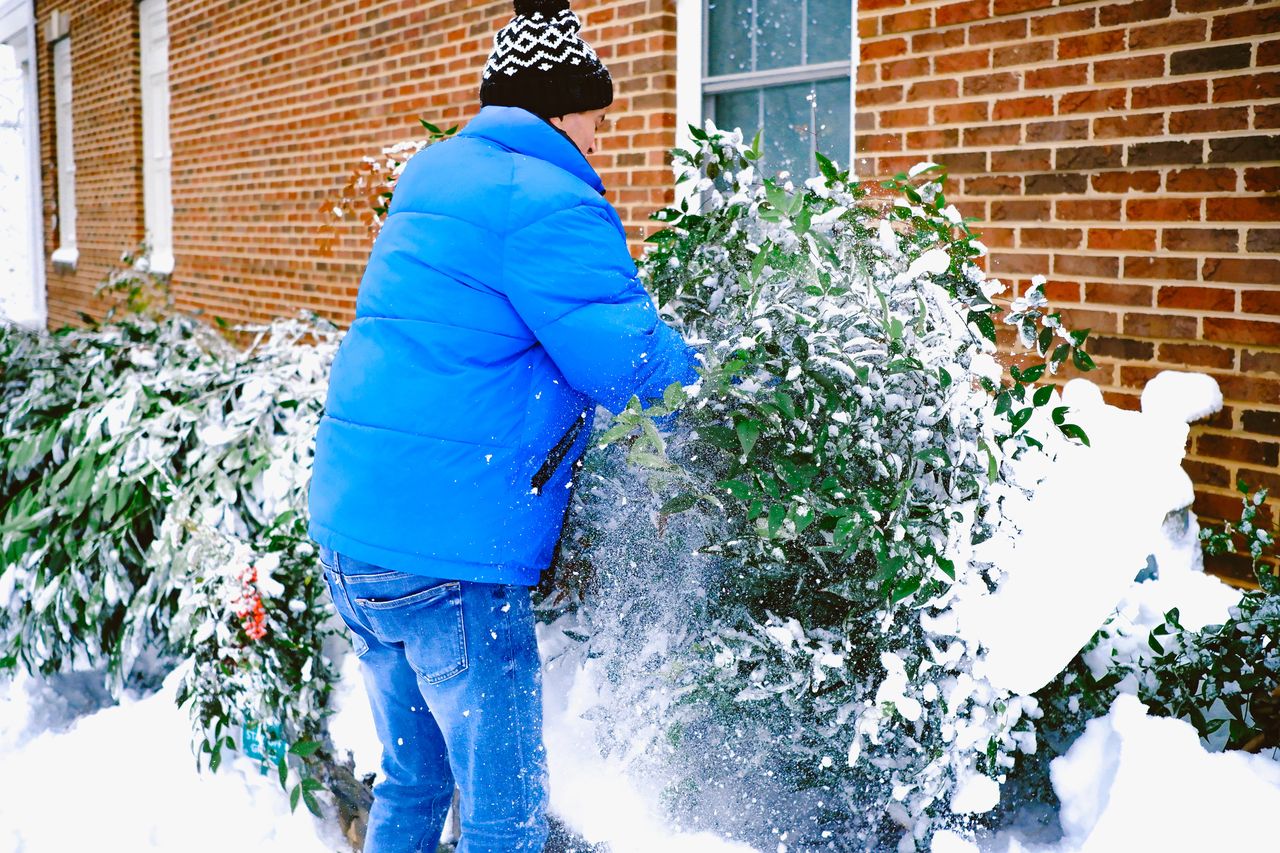 Czy trzeba odśnieżać ogród? Zobacz, kiedy to konieczne