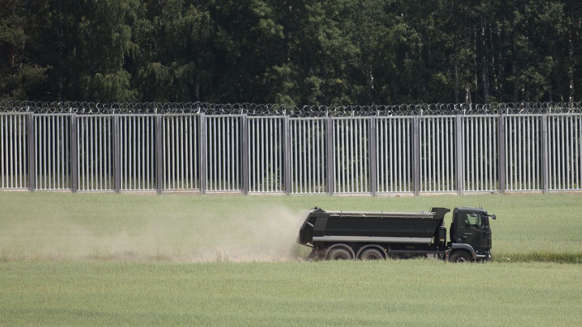 Żubry giną pod kołami wojskowych samochodów