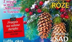 „Działkowiec” na czele sprzedaży miesięczników o ogrodnictwie w I półroczu 2016, „Mam Ogród” wyprzedził „Przepis na Ogród”