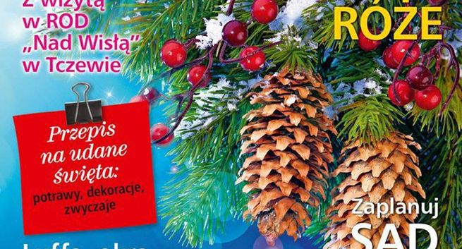 „Działkowiec” na czele sprzedaży miesięczników o ogrodnictwie w I półroczu 2016, „Mam Ogród” wyprzedził „Przepis na Ogród”