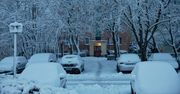 Poznań: Znowu spadł śnieg. Trudne warunki na drogach