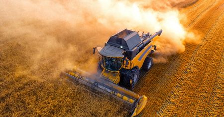 Płacą 180 zł za godzinę. Brakuje chętnych do pracy w sezonie