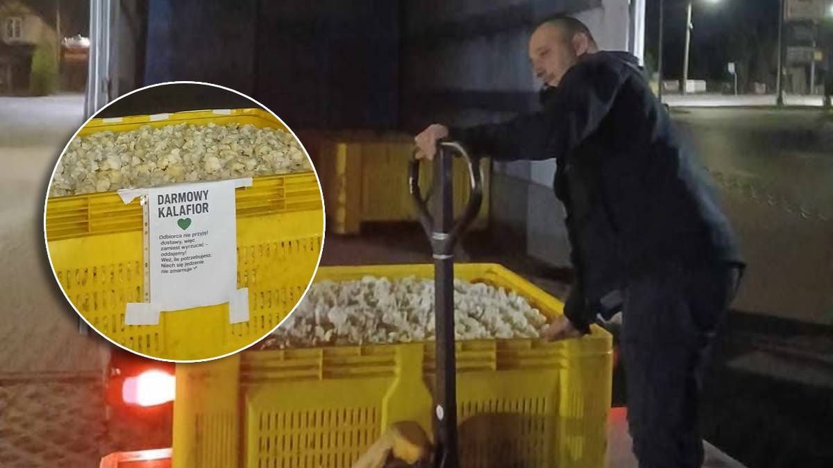 Rolnicy rozdali kalafior za darmo