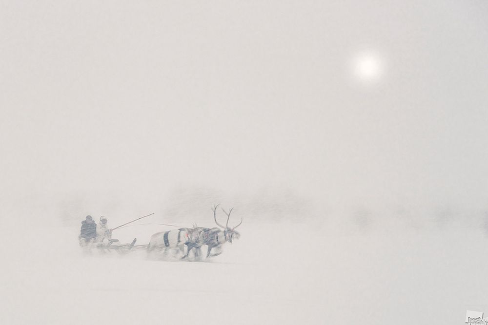 Nominowani do tytułu Najlepszego Fotografa Rosji w konkursie „Best of Russia 2016” 24