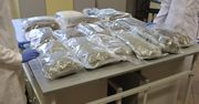 Policja przejęła 20 kg narkotyków. Czarnorynkowa wartość to około 2 mln zł
