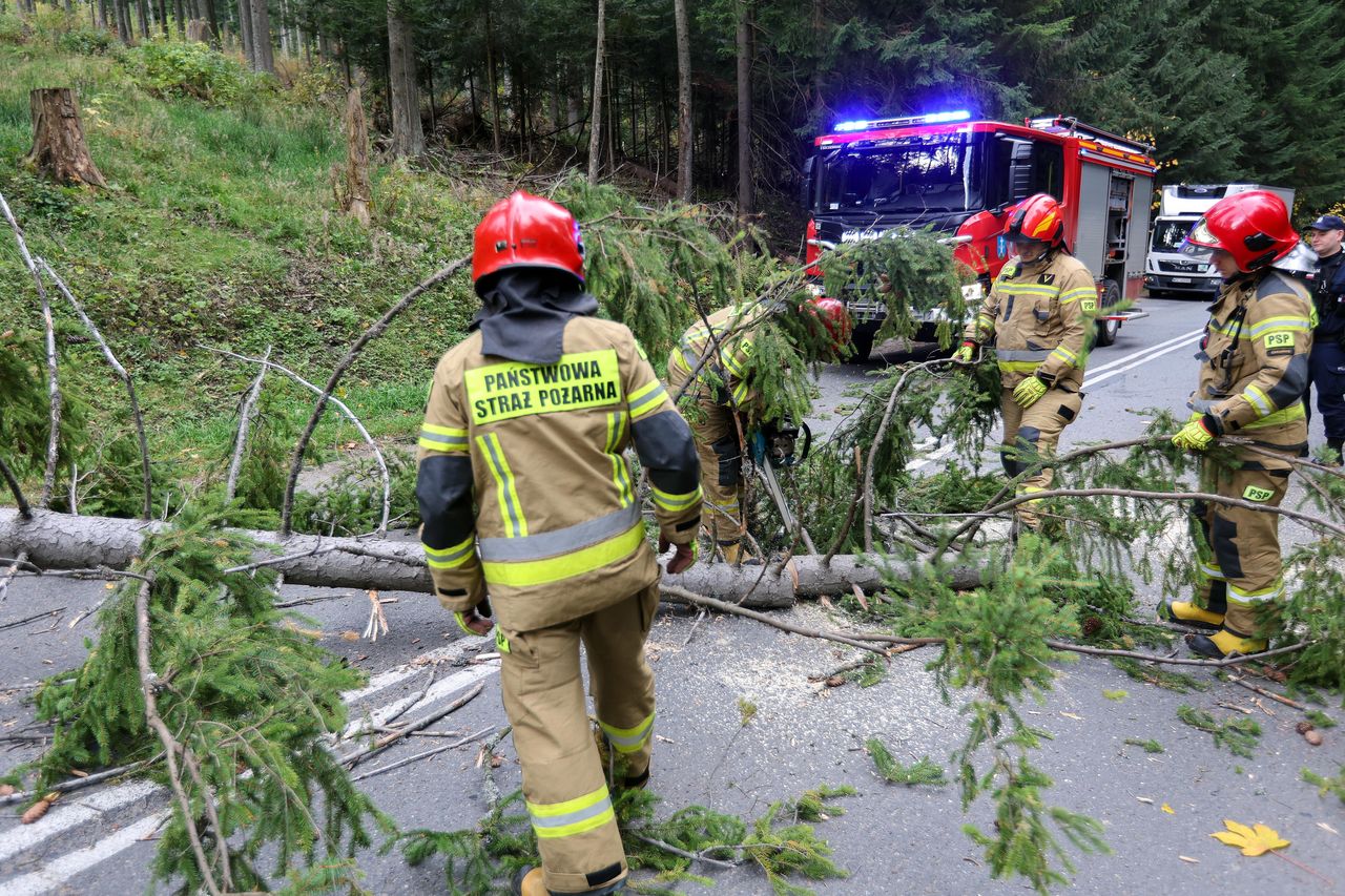 Wichura w Tatrach. Zmarło dziecko przygniecione przez drzewo