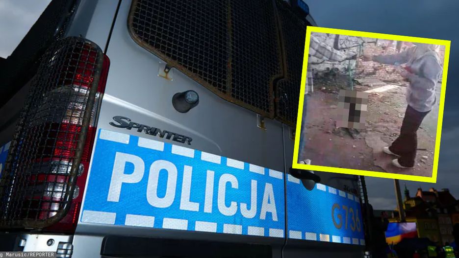 Nastolatki skatowały kota