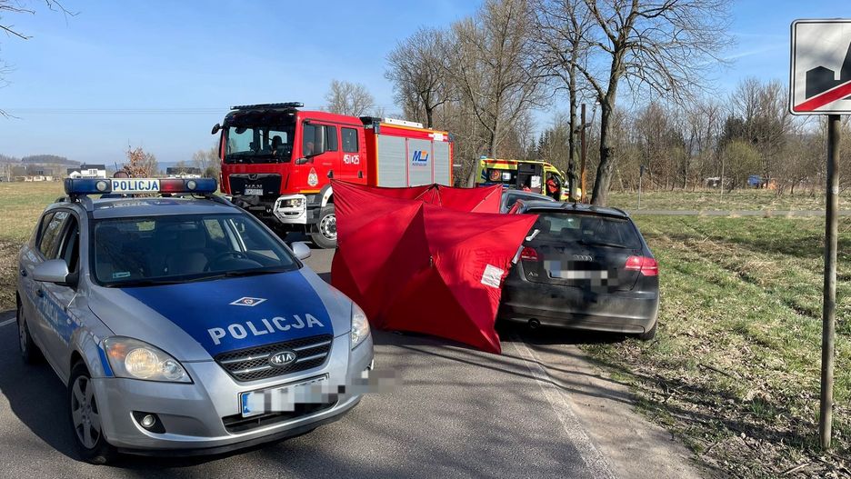 Mężczyzna zasłabł za kierownicą w miejscowości Krzeszów, w woj. dolnośląskim