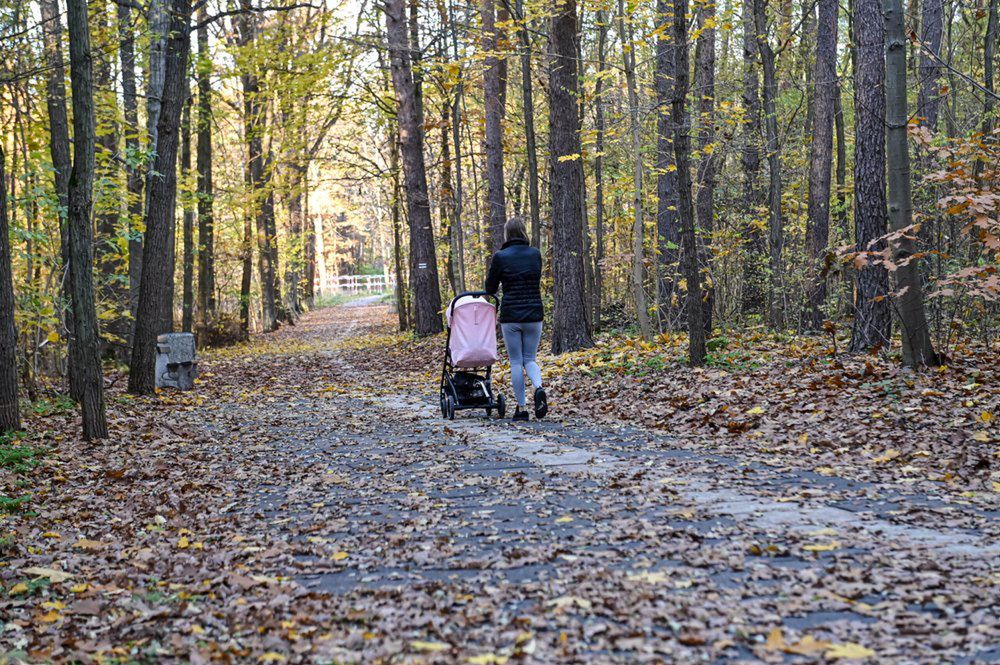 Zielona Góra: Mieszkańcy zachwyceni leśnym deptakiem