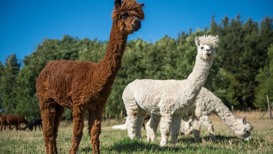 Zdjęcie ilustracyjne