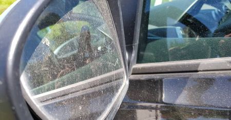 Żółty pył na samochodach i parapetach. Wyjaśniamy skąd się bierze