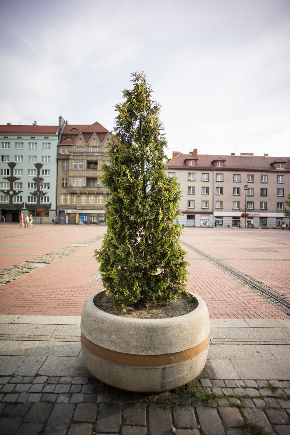 Voigtländer Ultron 21 mm f/1,8 ASPHERICAL - czarny koń ze stajni Cosina [recenzja] 31