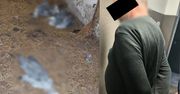 Gmina Opole Lubelskie: 59-latek z zarzutami po odebraniu 18 psów