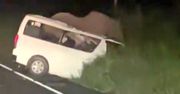 Tragedia w Murchison Falls. Zginęli po zderzeniu ze słoniem