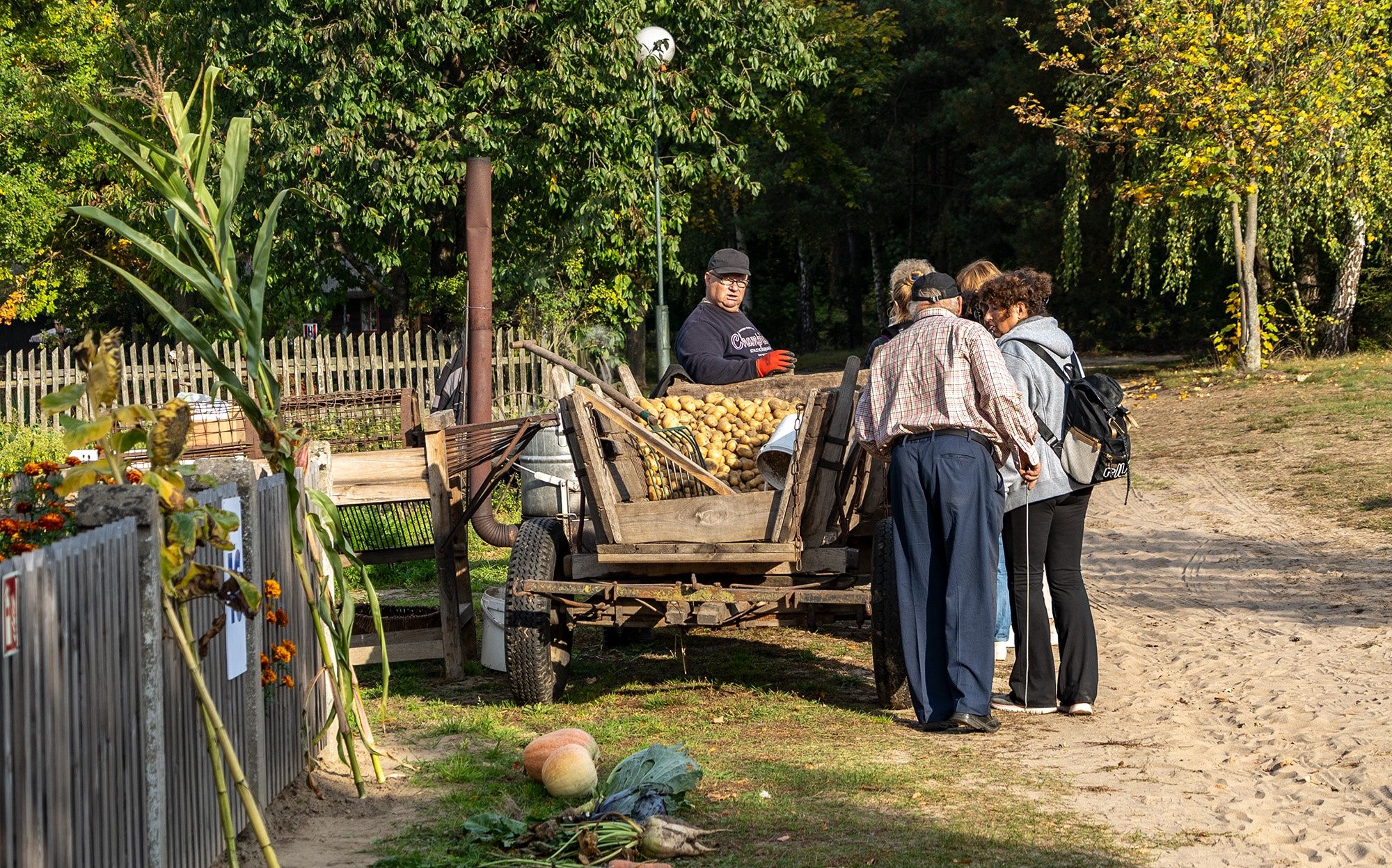 Jesień w polu i zagrodzenie w Skansenie w Osieku nad Notecią.
