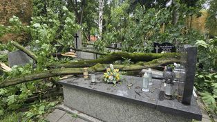 125 interwencji strażaków w Płocku i powiecie! Silny wiatr łamał drzewa i zrywał dachy! [FOTO&VIDEO]