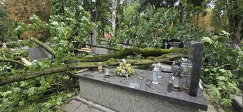125 interwencji strażaków w Płocku i powiecie! Silny wiatr łamał drzewa i zrywał dachy! [FOTO&VIDEO]