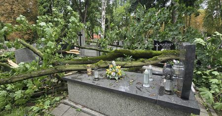 125 interwencji strażaków w Płocku i powiecie! Silny wiatr łamał drzewa i zrywał dachy! [FOTO&VIDEO]