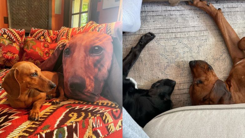 Tak mieszka Agnieszka Woźniak-Starak