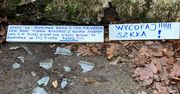 Zdjęcia z Lasu Młochowskiego podzieliły internautów. "A może to głos rozpaczy?"