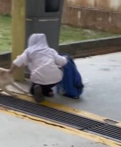 Dziewczynka z kotem rozbawia do łez. Nagranie to hit