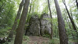 Rezerwat "Parkowe". Jura Krakowsko-Częstochowska zaprasza na szlaki pełne skał i historii