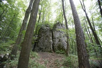 Rezerwat "Parkowe". Jura Krakowsko-Częstochowska zaprasza na szlaki pełne skał i historii