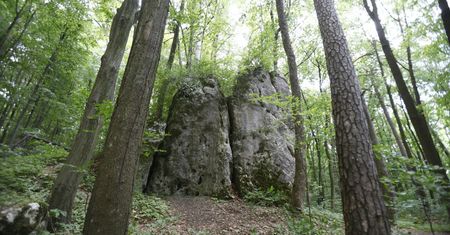 Rezerwat "Parkowe". Jura Krakowsko-Częstochowska zaprasza na szlaki pełne skał i historii