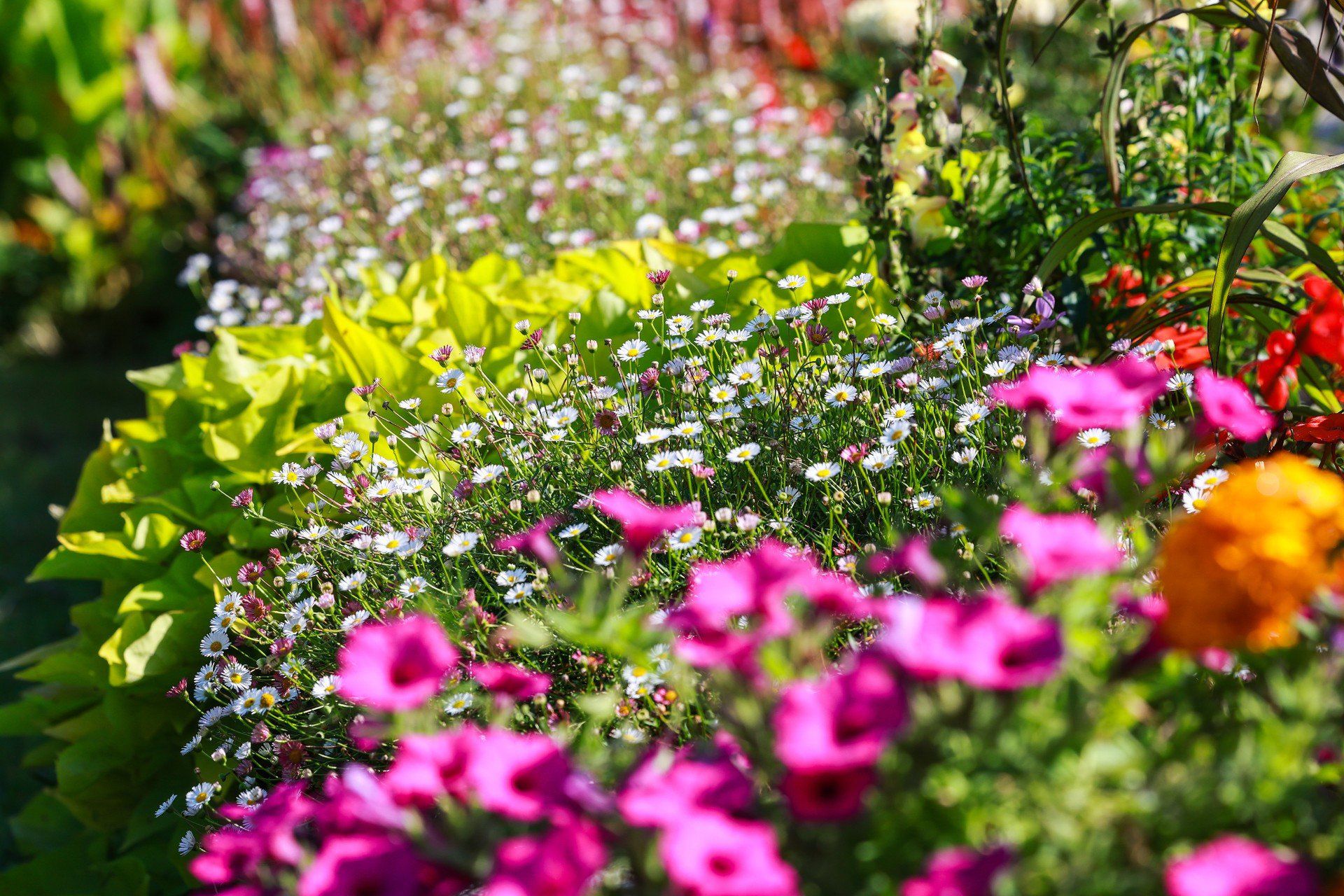 Ogród Botaniczny