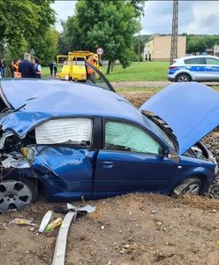 Groźny wypadek na przejeździe. Kobieta w szoku przedziwnie tłumaczyła przyczynę