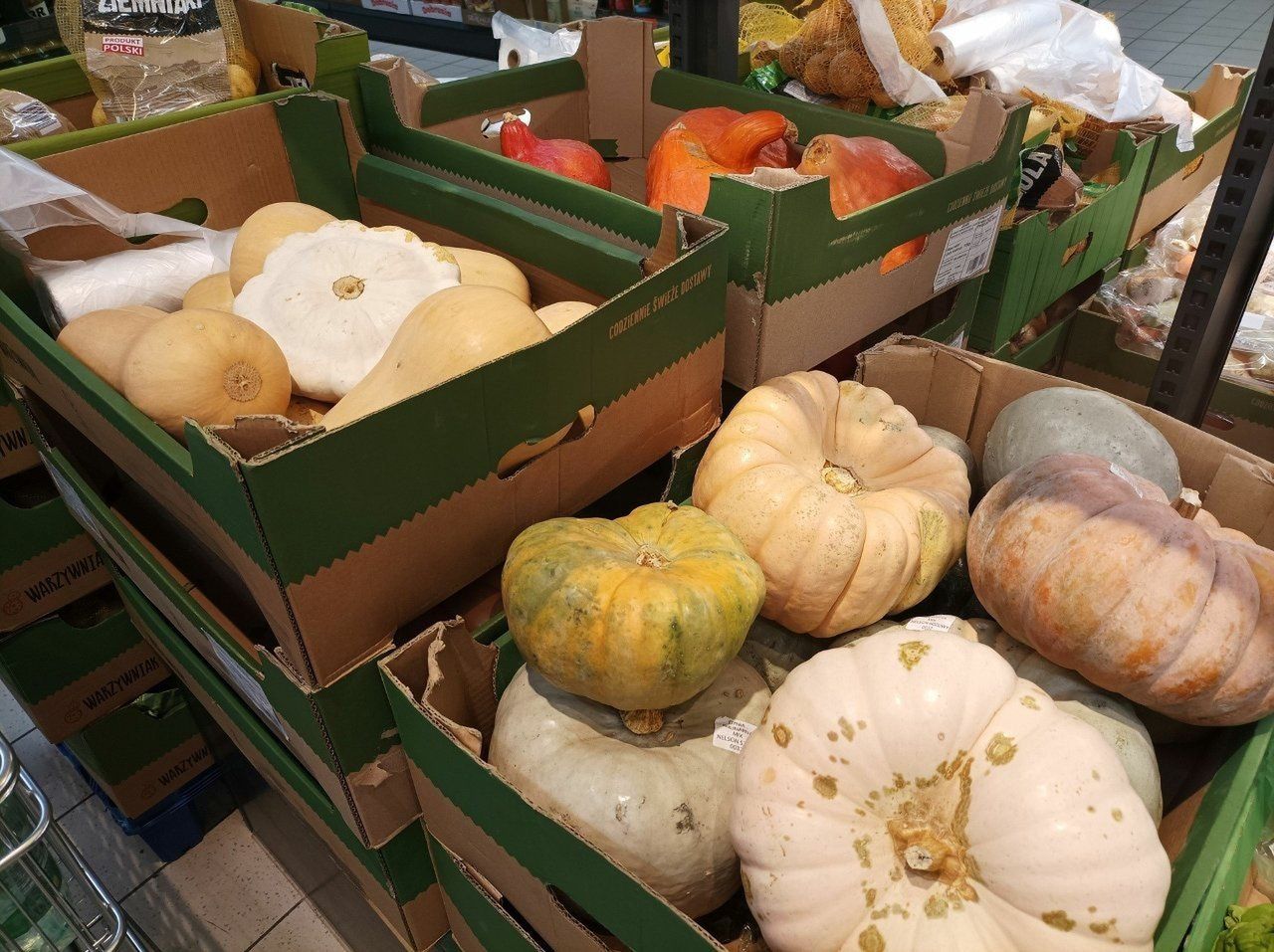 Łódź: Gdzie kupić dynie? Zastosowania, ceny i odmiany