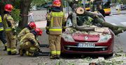 Złamany konar zablokował ruch na Ochocie. Spadł na trzy pojazdy, w tym miejski autobus
