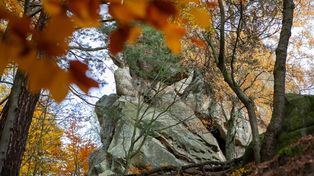 Podkarpacie: Rezerwat Prządki - magiczne miejsce w jesiennej odsłonie