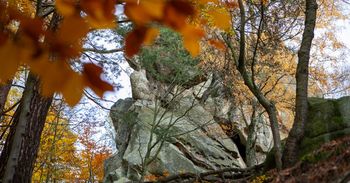 Podkarpacie: Rezerwat Prządki - magiczne miejsce w jesiennej odsłonie