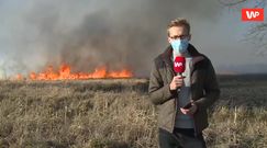 Biebrzański Park Narodowy w płomieniach. Reporter WP: "Wiatr nie ułatwia sprawy"
