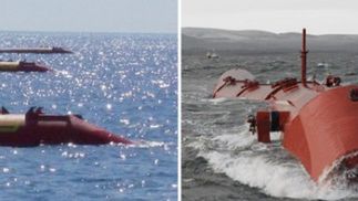 Wąż stalowy - "gatunek" prądotwórczy 1