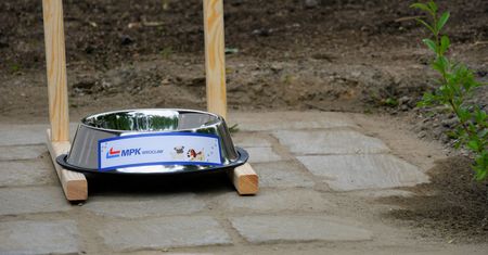 Wrocław. MPK uruchamia psię pętle. Woda dla zwierząt na przystankach