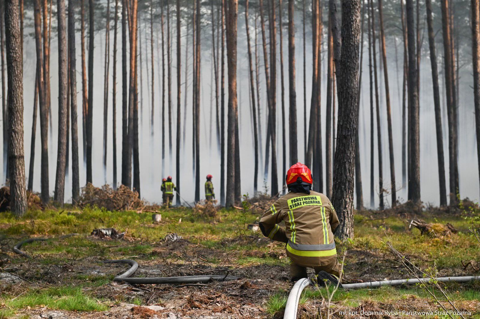 Walka z żywiołem