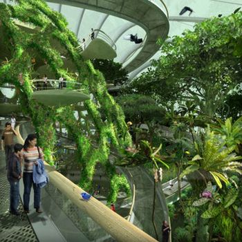 Przedstawiono nowy projekt ogrodu dla Singapuru 3