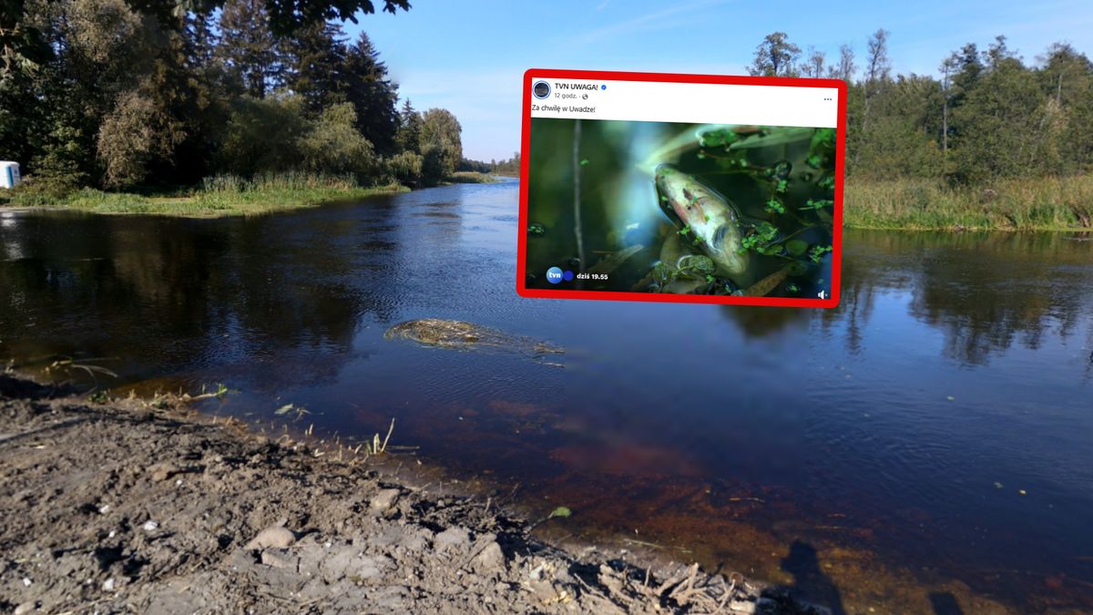 Katastrofa ekologiczna na Wkrze.