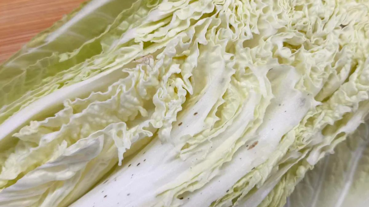 Co oznaczają czarne krpki na kapuście pekińskiej?